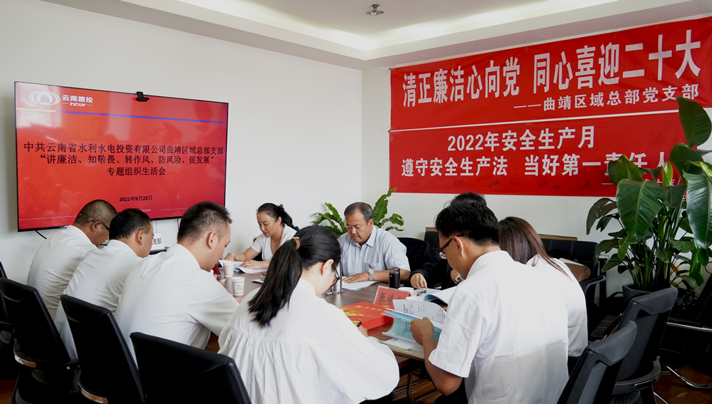 圖片312：“講廉潔、知敬畏、轉作風(fēng)、防風(fēng)險、促發(fā)展”專(zhuān)題組織生活會(huì ).jpg_副本.jpg